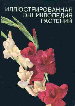 Книга Новак Ф.А. Иллюстрированная энциклопедия растений, 11-8123, Баград.рф